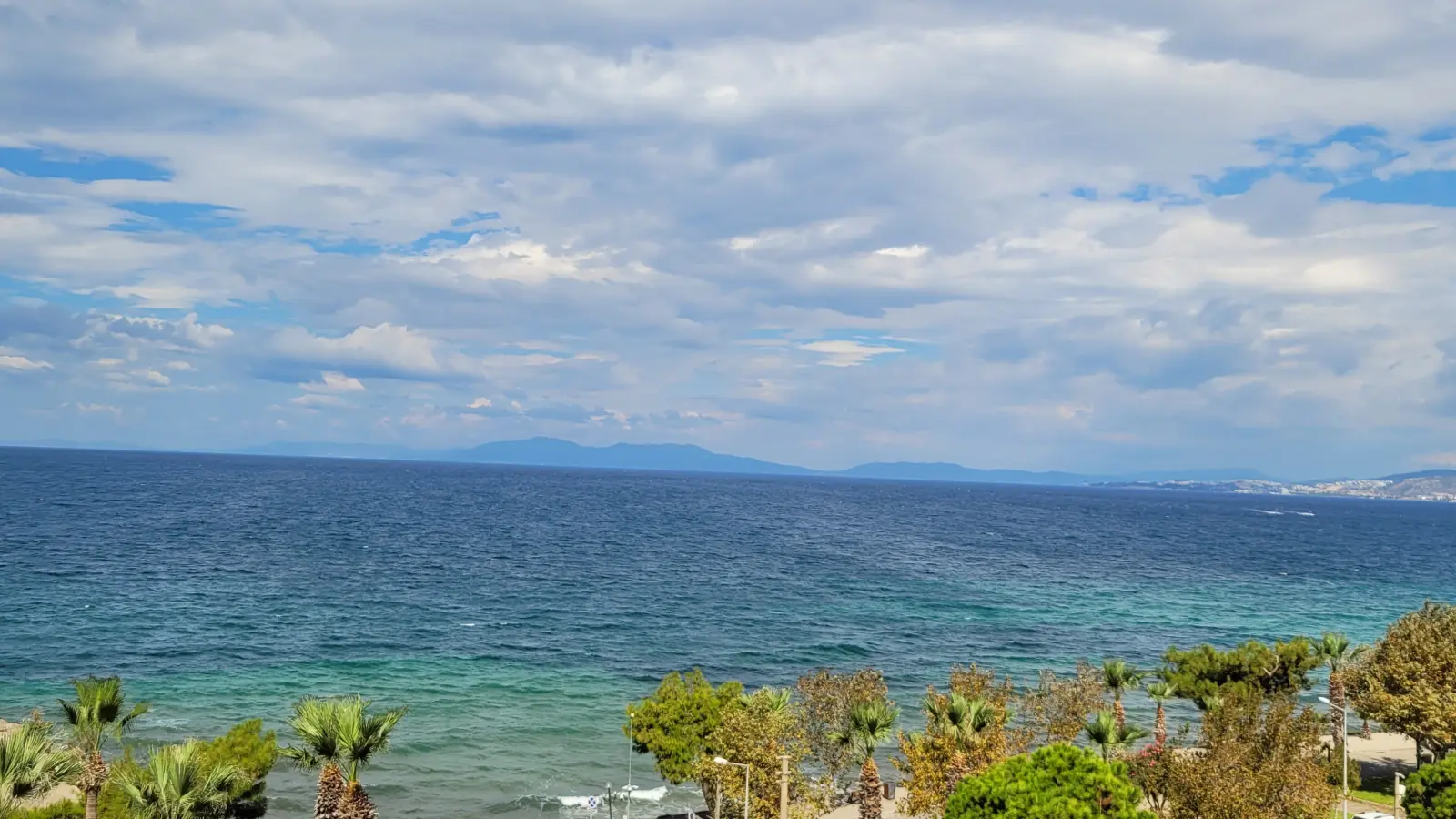 For a Unique Holiday Opportunity