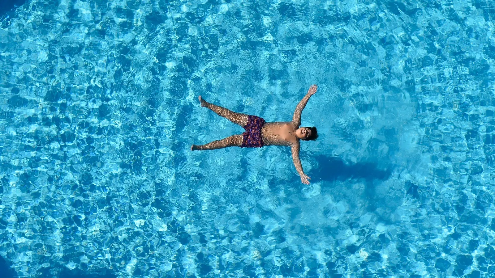 For a Unique Holiday Opportunity